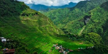 Farmers Groups Get Aid From Agriculture Agency