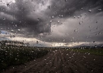 Planting Has Begun, But Rain Is Needed …