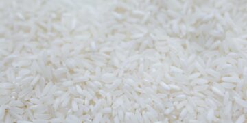 Thailand Rice Sector Recovering From Drought