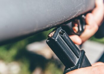 New License Allows Hunting Feral Swine, Coyotes At Night