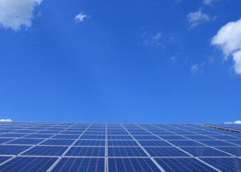 Agrivoltaic Systems, A Promising Experience