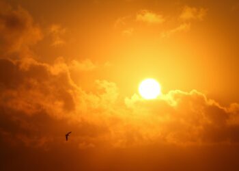 Farmers In Need Of Sunshine To Finish Spring Planting