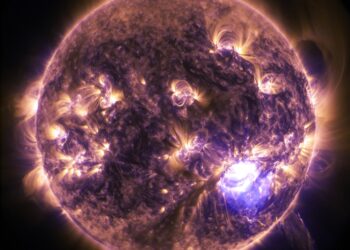 “Plants Grow Better When Their Internal Clock Is Matched To The Environment”