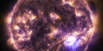 “Plants Grow Better When Their Internal Clock Is Matched To The Environment”