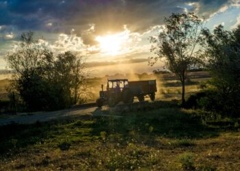 Agriculture’s Economic Might