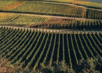 Preserving Family Farms Act Could Keep Rich Ranch Land Within Families