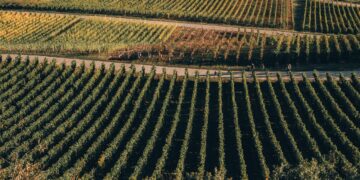 Preserving Family Farms Act Could Keep Rich Ranch Land Within Families