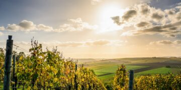 Specialty Crops: An Industry of Potential