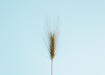 3 Big Things Today, April 30, 2021