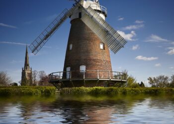 Extremely Dangerous Bird Flu Is Thriving In The North Of Holland, And Hundreds Of Dead Wild Birds Have Been Found