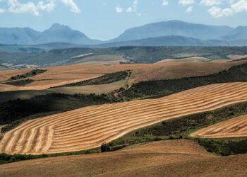 Sub-Saharan Africa’s Food Security Has Turned Out Better Than Feared, But Risks Remain…