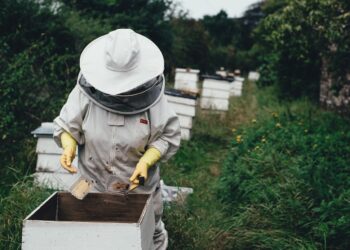 Scientists’ Efforts To Protect Bees …