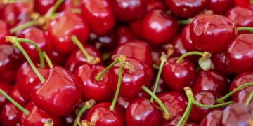 Big NW Cherry Crop and China’s Record U.S. Corn Imports