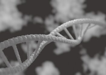 Landmark Study on New Genomic Techniques (NGTs) that Includes Cibus’ Gene Editing Technologies