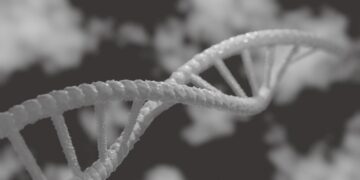 Landmark Study on New Genomic Techniques (NGTs) that Includes Cibus’ Gene Editing Technologies