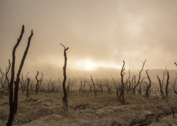 U.S. Drought Coverage Approaching Record Levels