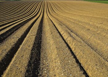 The Agronomists, Ep 25 — Mike Hilhorst and Peter Johnson On Planting Depth – RealAgriculture