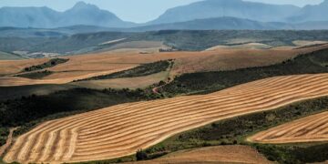 Here Is The Technology Fuelling Africa’s Agricultural Revolution