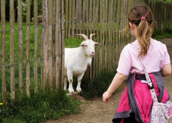 Gabby Introduces Children To Life On The Farm