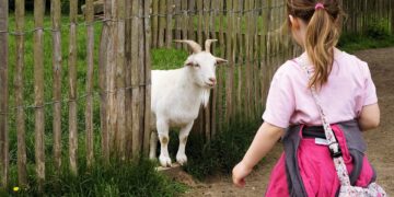 Gabby Introduces Children To Life On The Farm