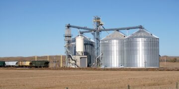 USDA Shares Forecasts For Grain And Farm Exports