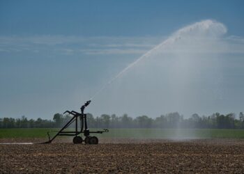 Irrigation Key During Hot, Dry Conditions