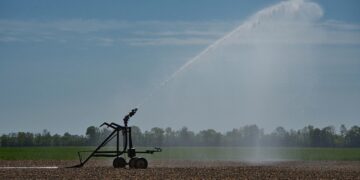 Irrigation Key During Hot, Dry Conditions