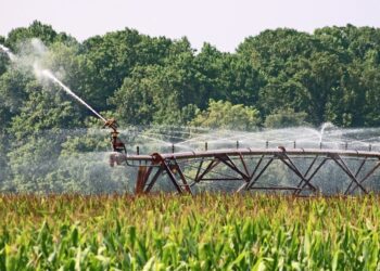 Minnesota Farmer Wins Appeal In Pineland Sands Irrigation Dispute Case