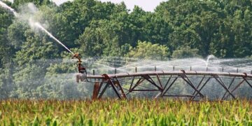 Minnesota Farmer Wins Appeal In Pineland Sands Irrigation Dispute Case