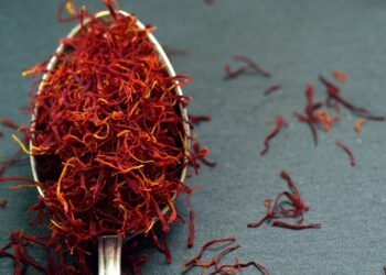 Seedo Corp Enters Research Agreement With The Polytechnic University Of Valencia