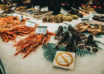 Proposed Tax Break Favors CT Shell Fishermen. But What Does It Mean For Coastal Communities?