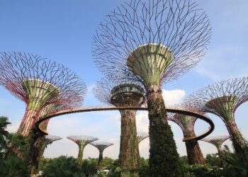 Singapore Shows What Serious Urban Farming Looks Like