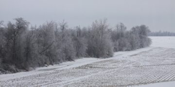 3 Big Things Today, May 28, 2021