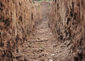 National Corn Growers Will Close Soil Health Institute May 28, 2021