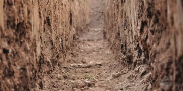 National Corn Growers Will Close Soil Health Institute May 28, 2021