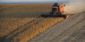Soybeans Top $16 Per Bu For First Time Since 2012 | 2021-05-12