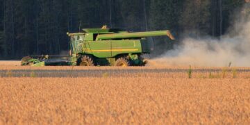 Chinese Firms Cut Soymeal Content In Hog Feed To Reduce Imports