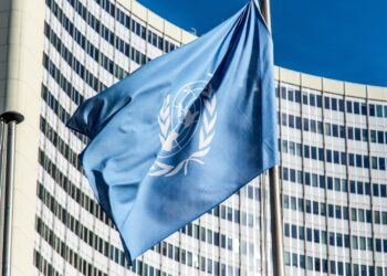 FAO Organizes Virtual Workshop In Connection With UN Food Summit