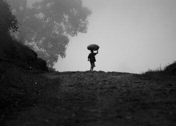 300,000 Young Ugandans to Be Supported in Agriculture