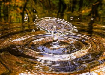 Water Resources Expert To Address Two Key Topics At The Agricultural Water Summit