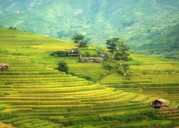 China’s Import Appetite Raises Prospects In US Farm Belt