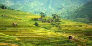 China’s Import Appetite Raises Prospects In US Farm Belt