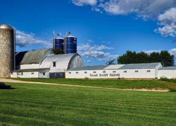 Experts to Discuss Growth Opportunities at Annual Dairy Experience Forum