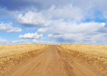 As Drought Intensifies, Ranchers Must Decide: Sell Cattle Or Buy Feed?