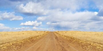 As Drought Intensifies, Ranchers Must Decide: Sell Cattle Or Buy Feed?