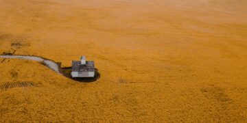 Discuss Farm’s Future With Family Meeting