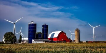 Loss of Family Member Changes Farm Dynamic