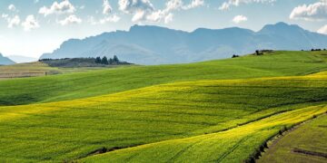 How Fear Of Hunger Pushed Me Into Agriculture