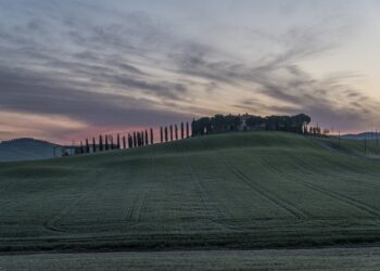 US Ag Economy Barometer Posts Sharp Declines In May