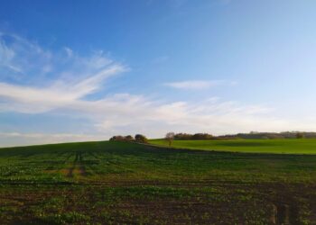 Farmers Urgently Need To Diversify, But They Cannot Do It Alone